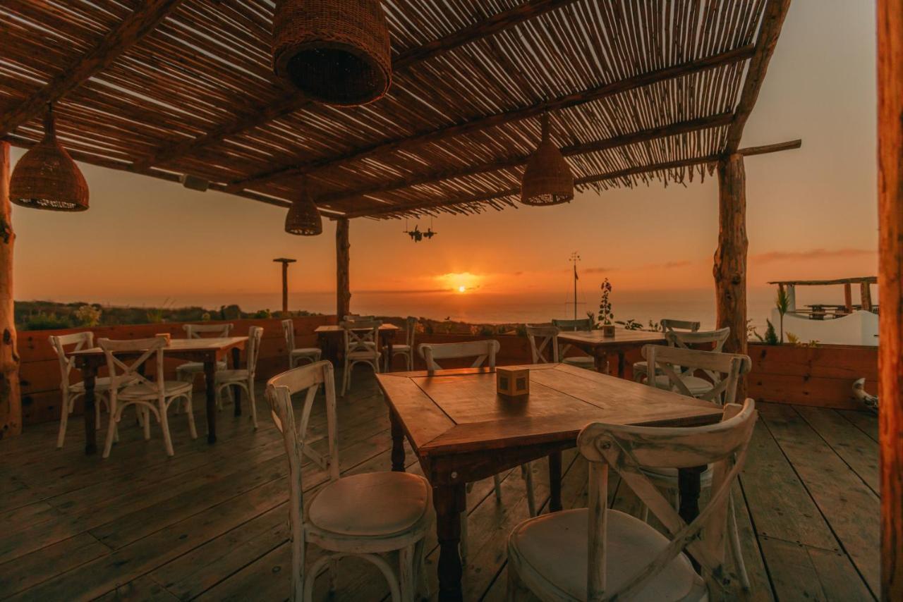 Nest Baja Hotel San Jose del Cabo Exterior photo